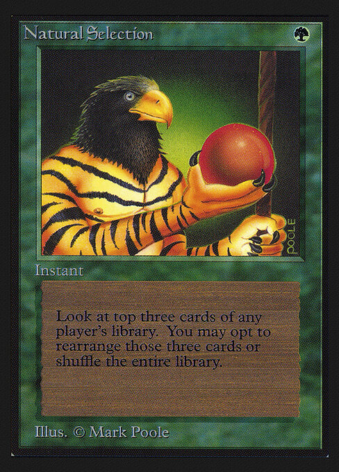 Natural Selection 213