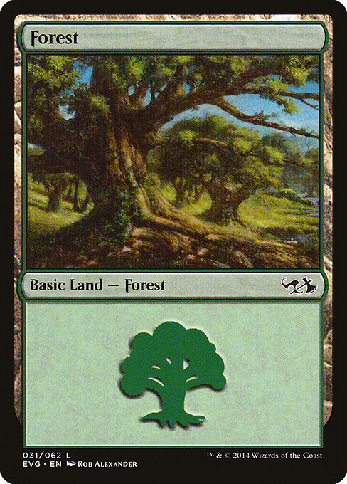Forest 31