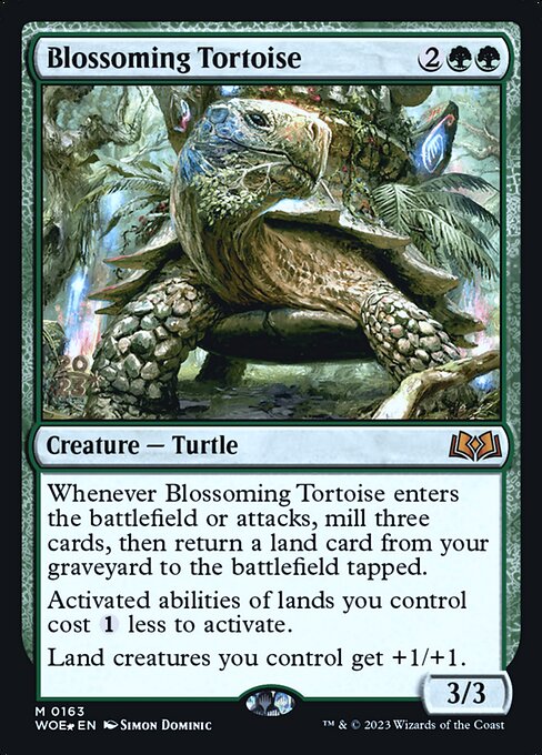 Blossoming Tortoise 163s