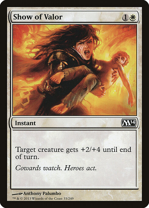 Show of Valor 33