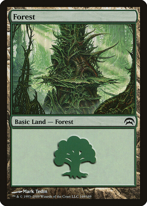 Forest 169