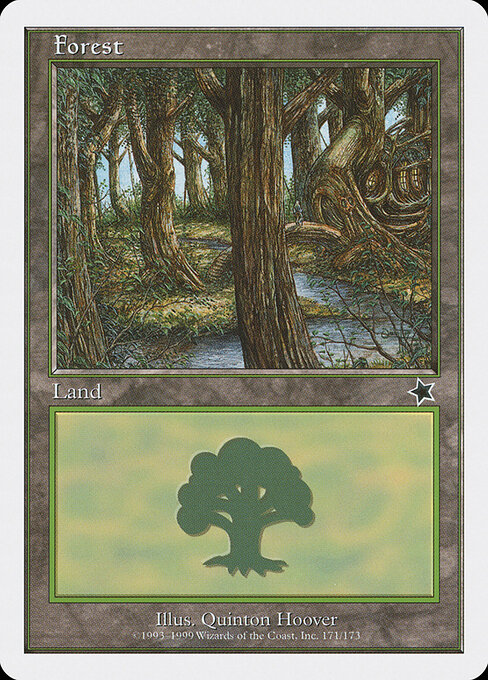 Forest 171