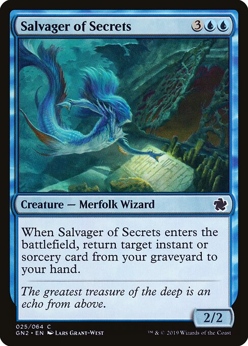 Salvager of Secrets 25