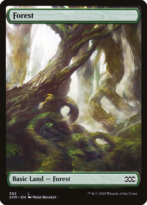 Forest 382