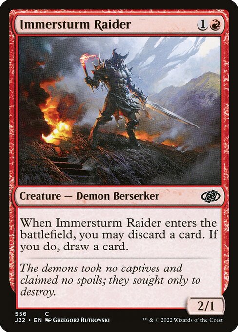 Immersturm Raider 556