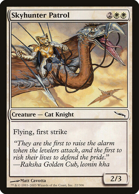 Skyhunter Patrol 22