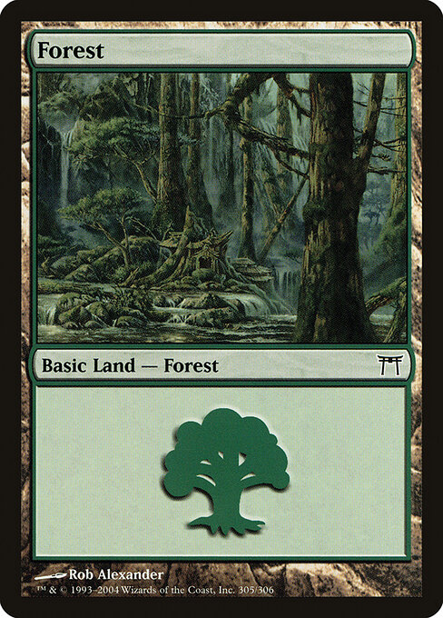 Forest 305