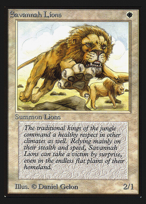 Savannah Lions 39