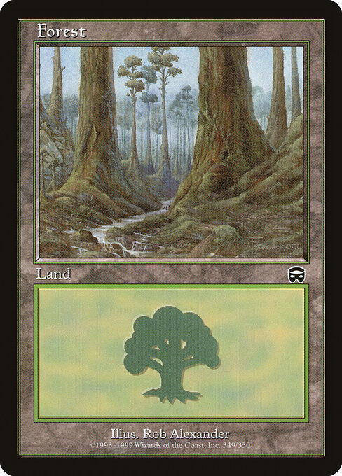 Forest 349