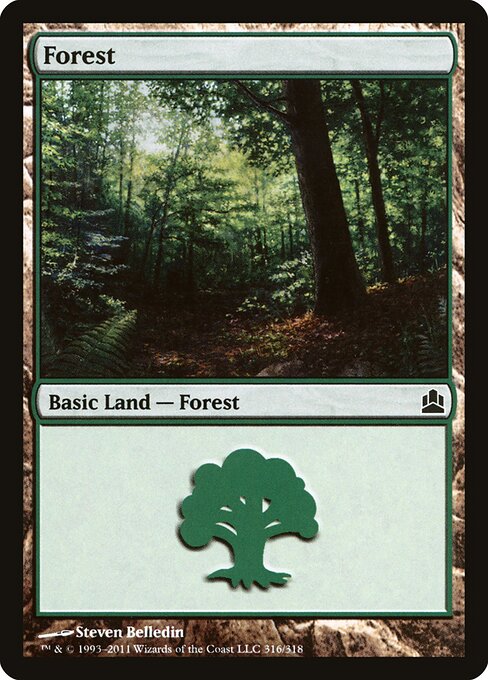 Forest 316