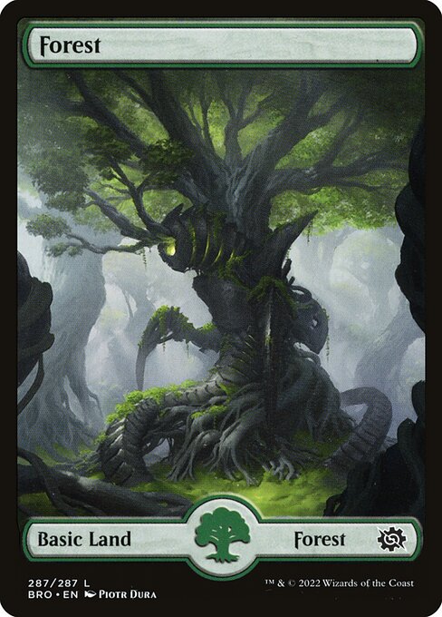 Forest 287