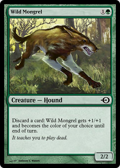 Wild Mongrel 36240