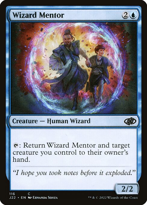Wizard Mentor 116