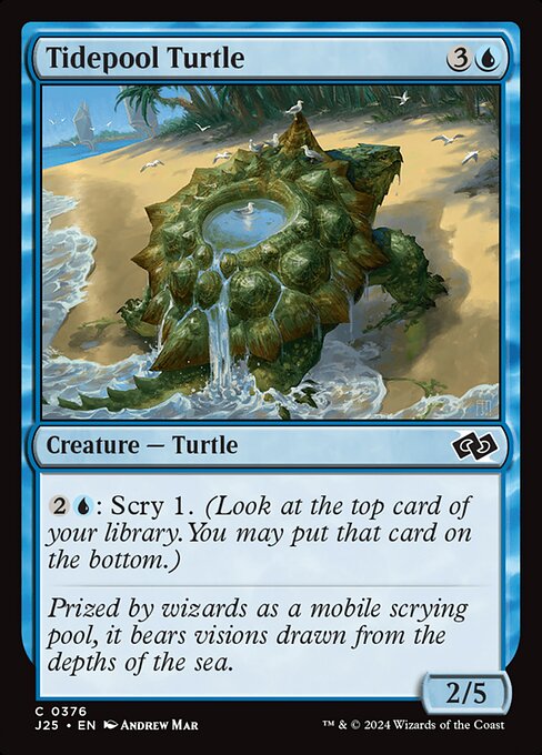 Tidepool Turtle 376