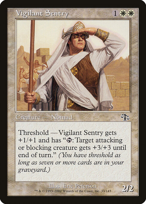 Vigilant Sentry 33