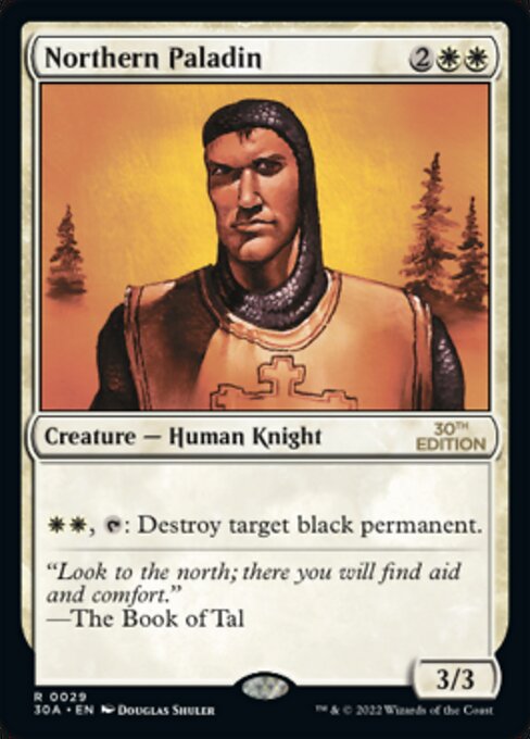 Northern Paladin 29