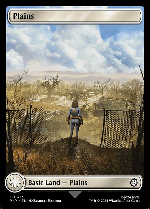 Plains 317