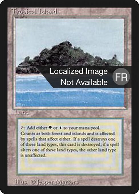 Tropical Island 288