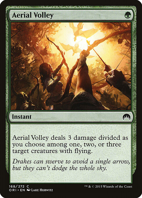 Aerial Volley 168