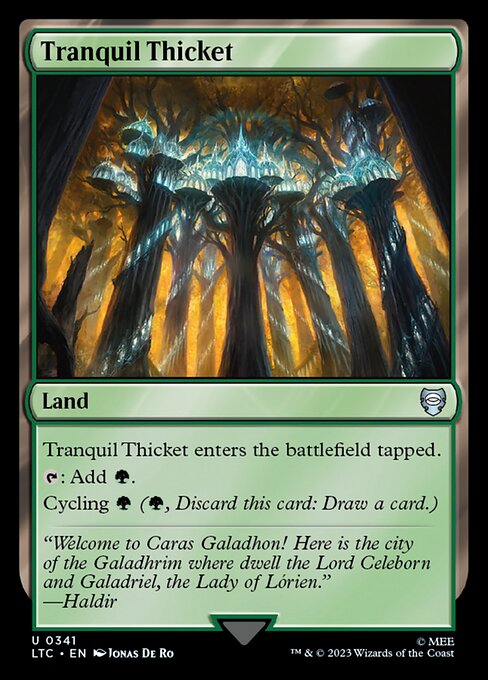 Tranquil Thicket 341