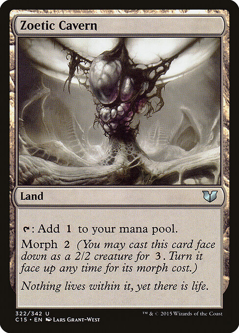 Zoetic Cavern 322