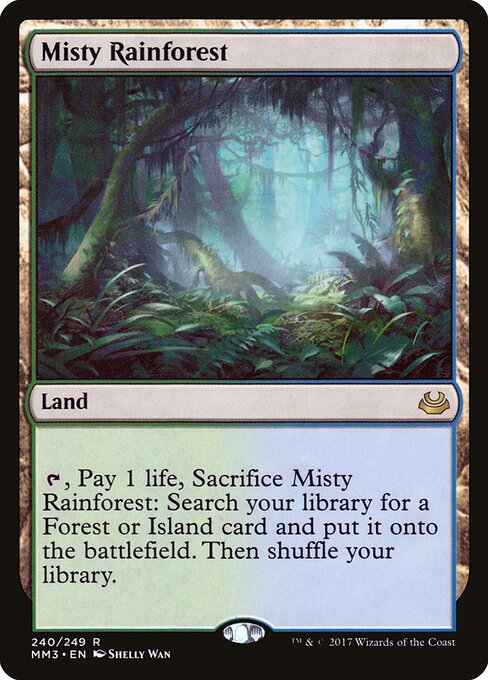 Misty Rainforest 240