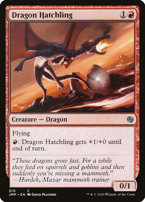 Dragon Hatchling 310