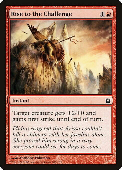 Rise to the Challenge 107