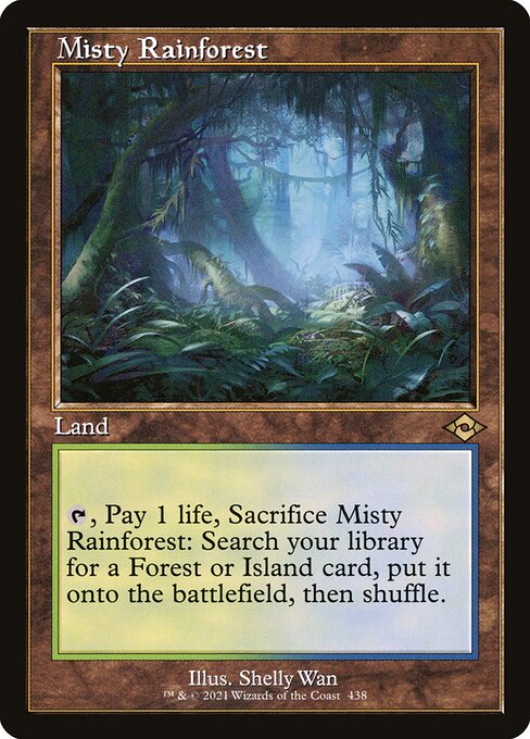 Misty Rainforest 438