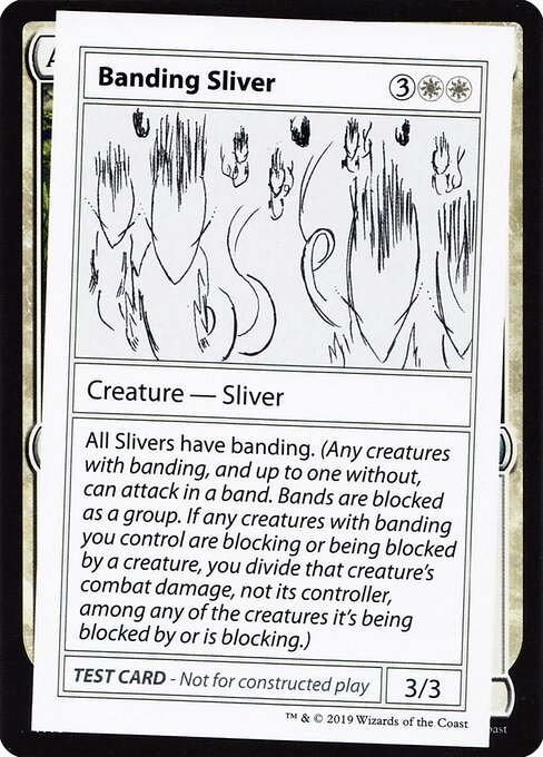 Banding Sliver 2