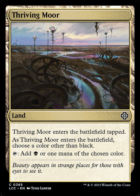 Thriving Moor 365