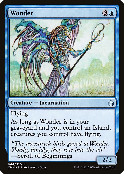 Wonder 44
