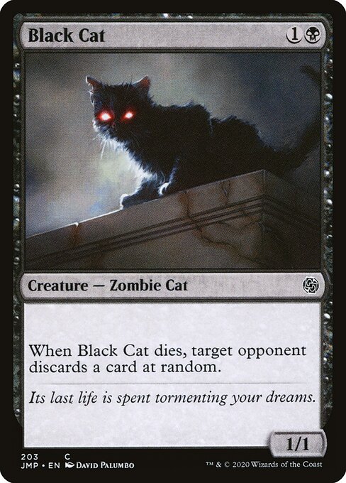 Black Cat 203