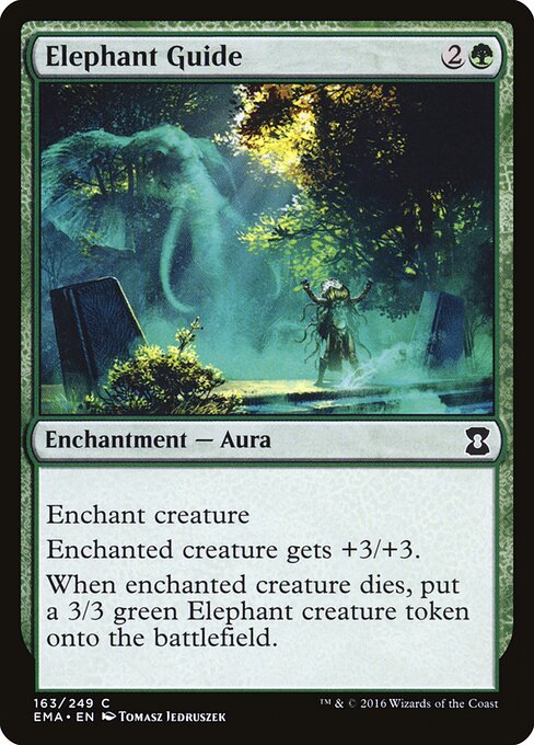 Elephant Guide 163