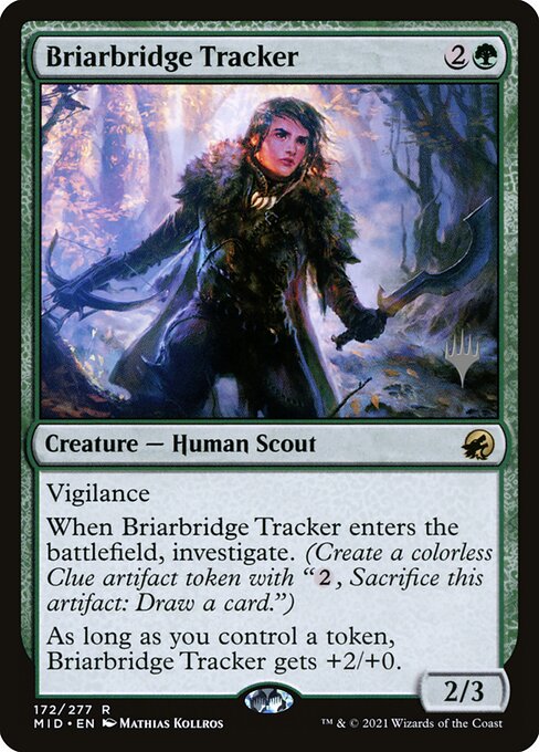 Briarbridge Tracker 172p