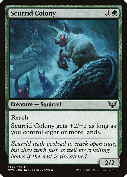 Scurrid Colony 142