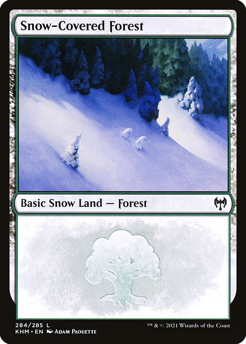 Snow-Covered Forest 284
