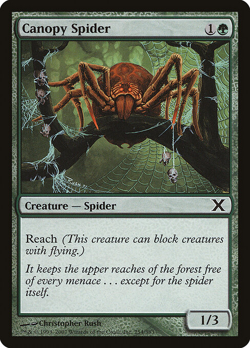 Canopy Spider 254