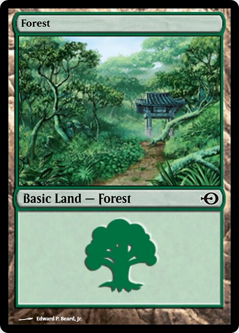 Forest 251