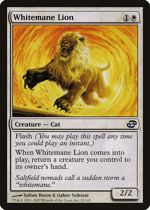 Whitemane Lion 22