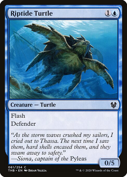 Riptide Turtle 61