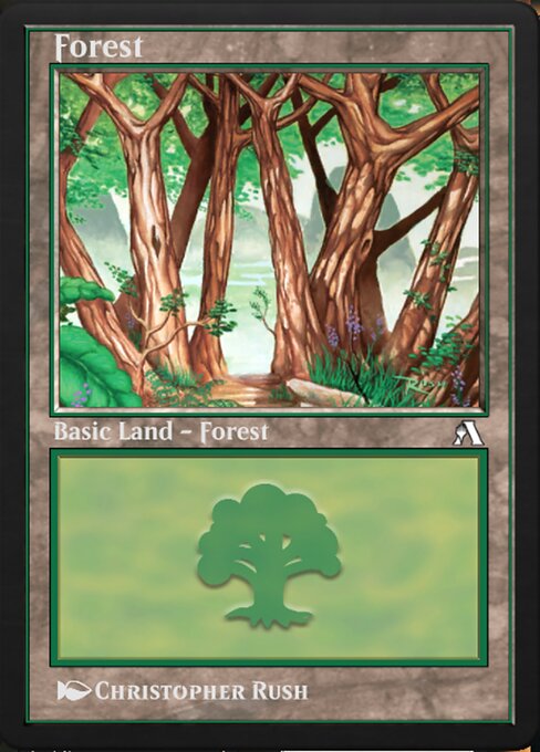 Forest 34
