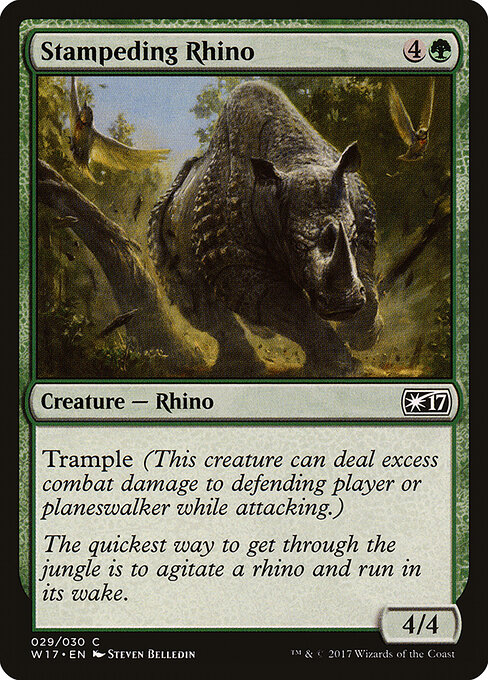 Stampeding Rhino 29