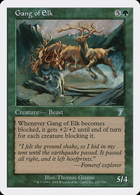 Gang of Elk 247