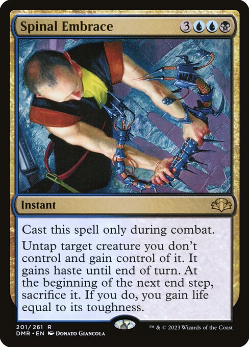 Spinal Embrace 201