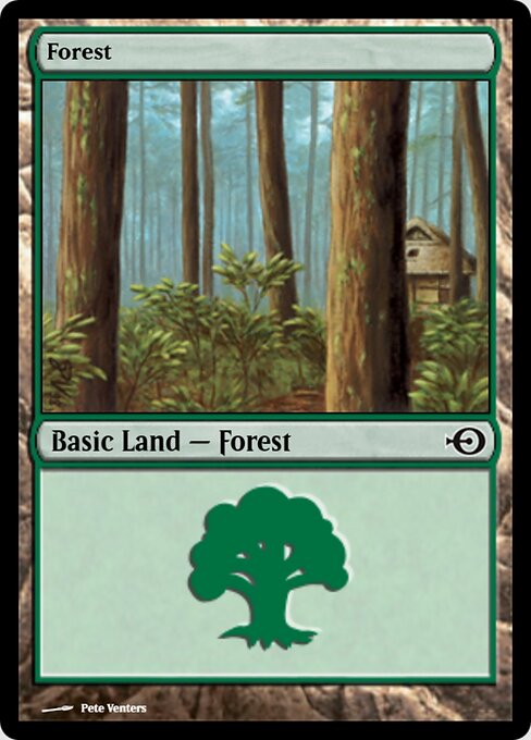 Forest 237