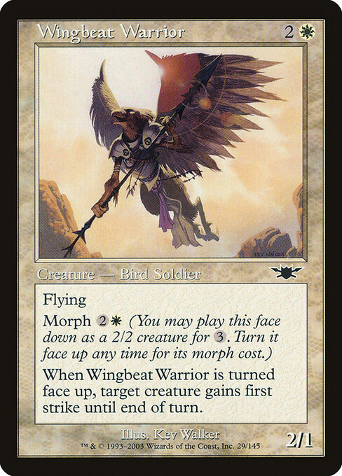 Wingbeat Warrior 29