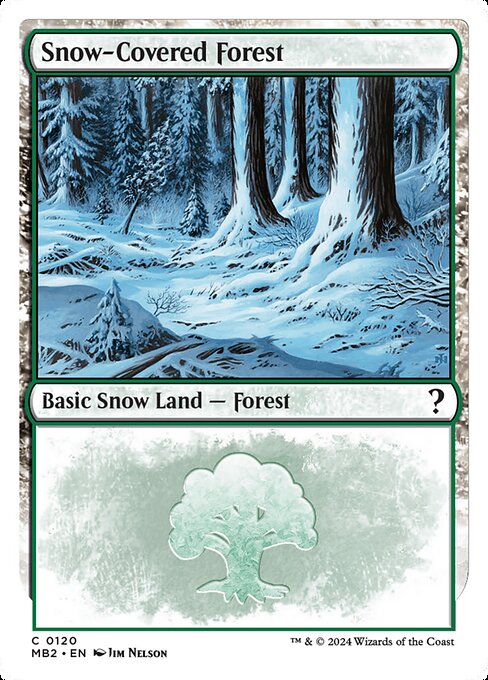Snow-Covered Forest 120
