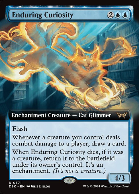 Enduring Curiosity 371