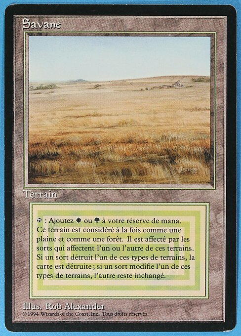 Savannah 285